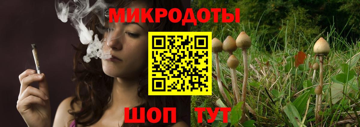 Псилоцибиновые грибы мицелий Альметьевск