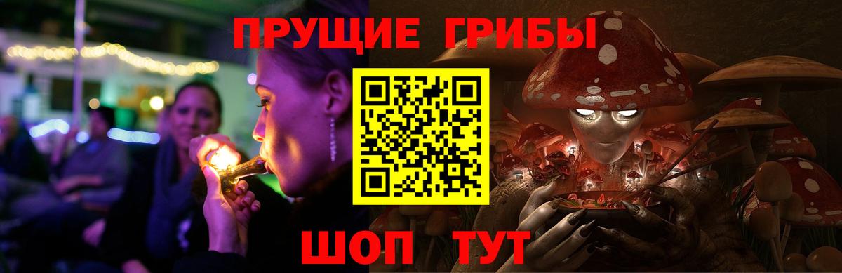 Альметьевск  Галлюциногенные грибы Cubensis  Вход с VPN 